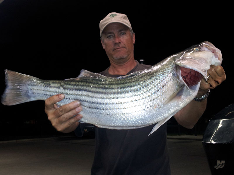 Lake Travis Fishing Report - May 20, 2013 - fishing photo