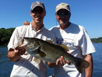 Lake Austin Fishing Report - May 22, 2013 - fishing photo