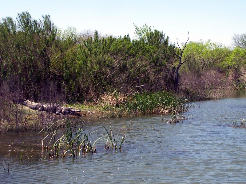 Typical Choke Canyon scene