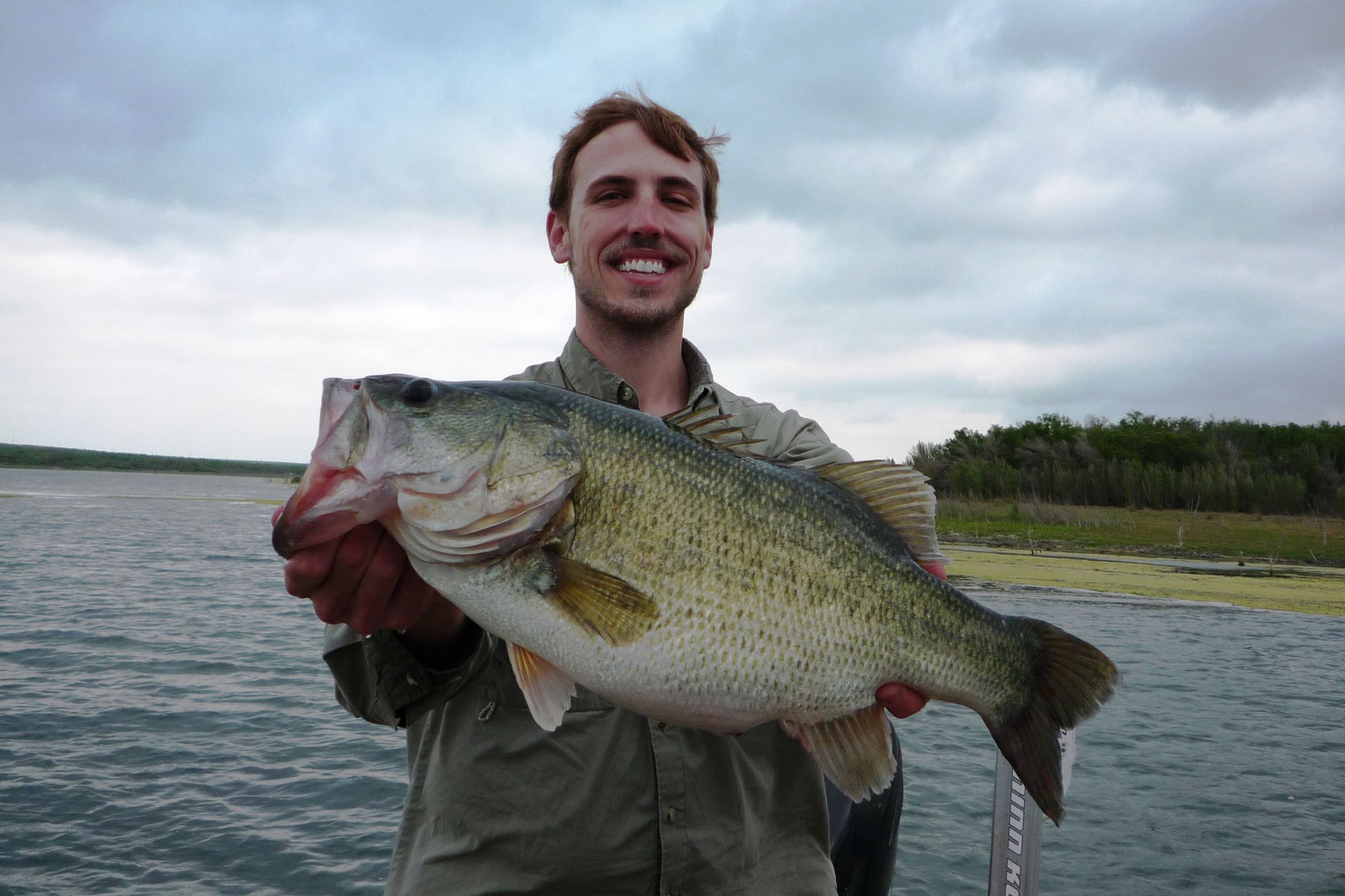 Angler with a giant largemouth bass from Decker Lake near Austin, May 2011