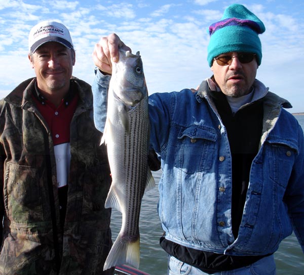 Striper on Buchanan
