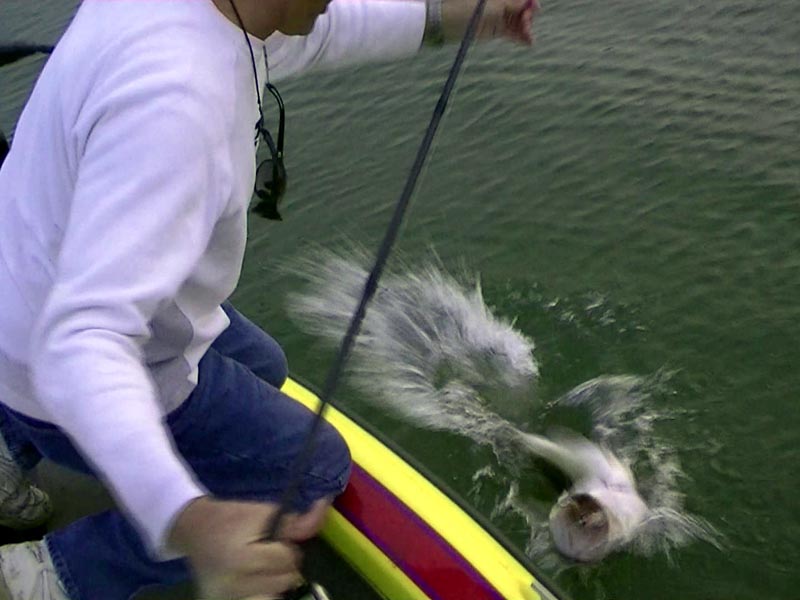 Lake Falcon Fishing Report - December 25, 2009 - fishing photo
