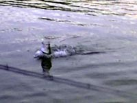 Lake Falcon Fishing Report - December 25, 2009 - fishing photo