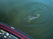 Choke Canyon Fishing Report - September 27, 2007 - fishing photo
