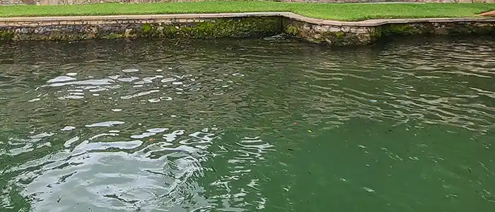 Lake Austin bass fishing with Texas Hawgs