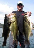 Bass caught on Lake Austin with Texas Hawgs