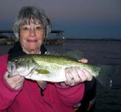 Bass caught on Lake LBJ with Texas Hawgs